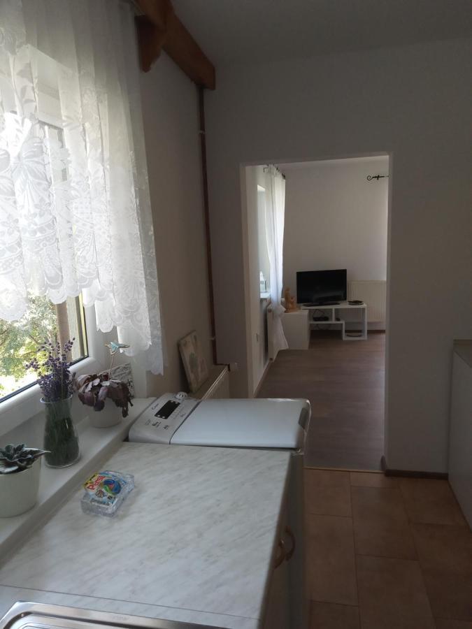 Apartment With A View Bohinjska Bistrica Bagian luar foto